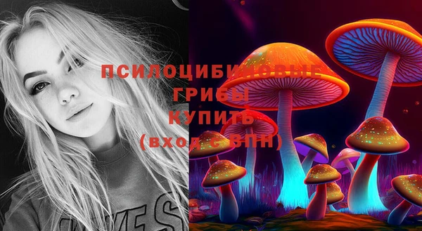 кокаин колумбия Богданович