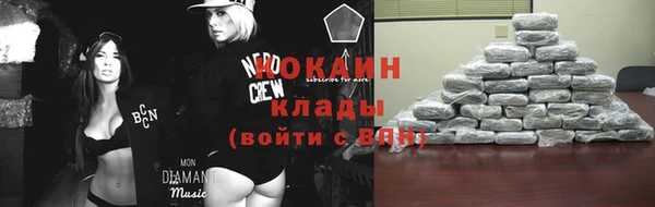 ECSTASY Богородск