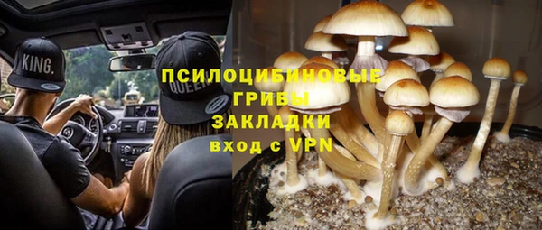 кокаин колумбия Богданович