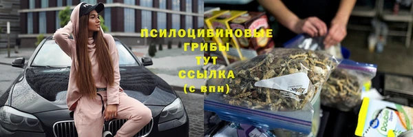 ECSTASY Богородск