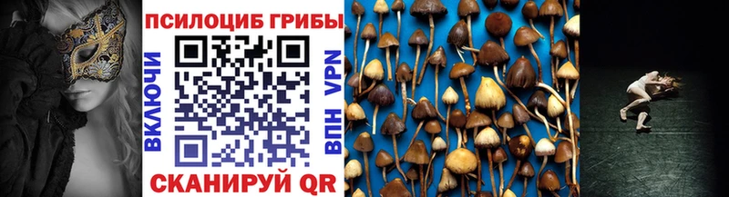 Псилоцибиновые грибы мицелий  Купить  Тейково 