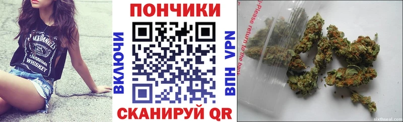 Купить закладки  Тейково  Бошки марихуана планчик 